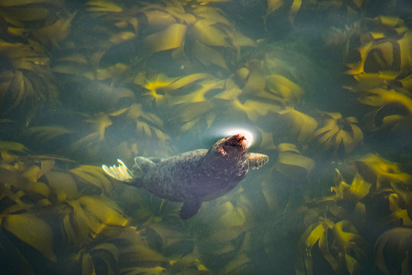 Breaking the Surface