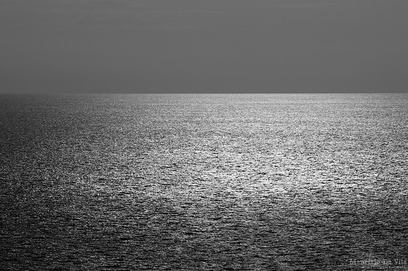 Bicolor (Sea)