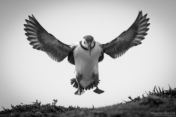 Touch down