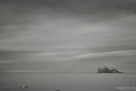 Bass Rock