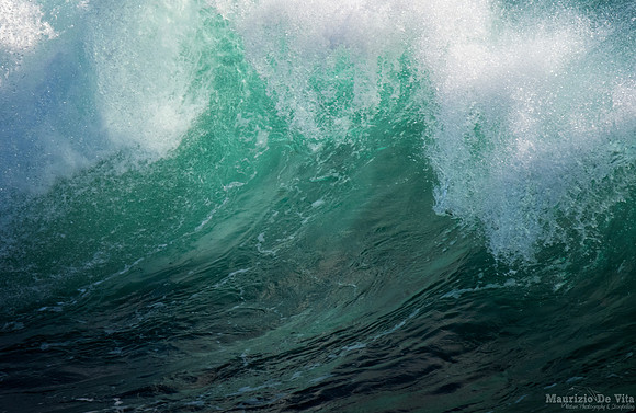 The North Waters