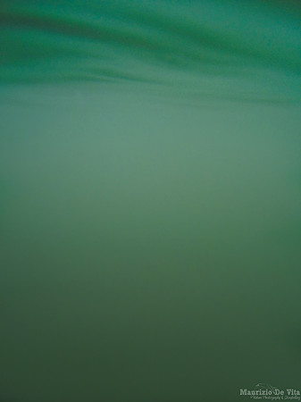 Waterline (as sky)