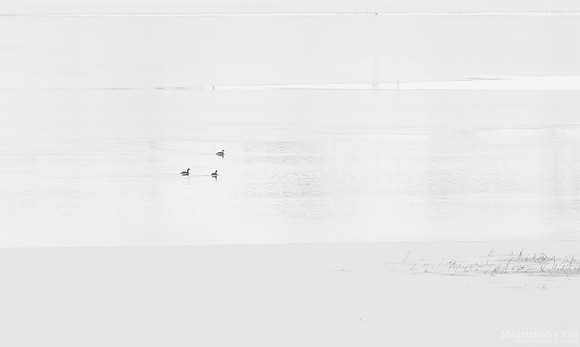 Minimal Life