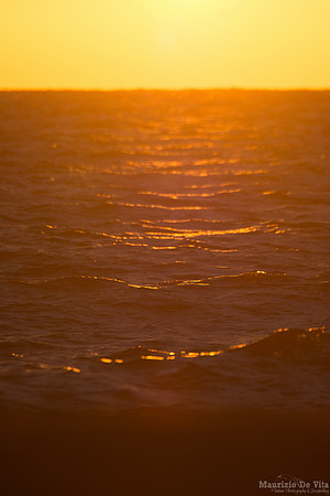 Waves