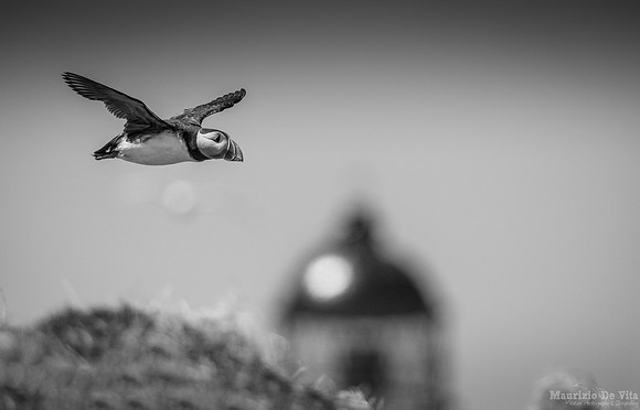 Fly-by