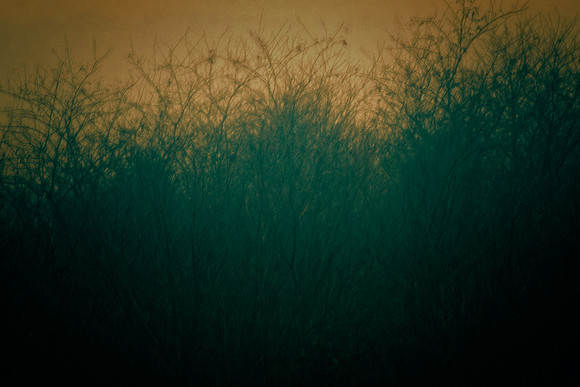 Winter Rain