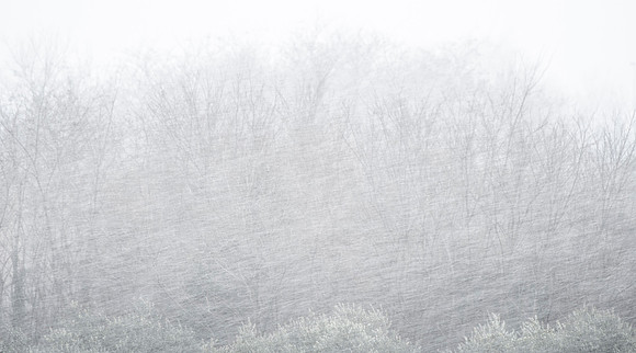 Snow Report