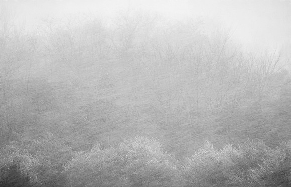 Within…