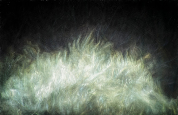 A dancing flame in Wintertime