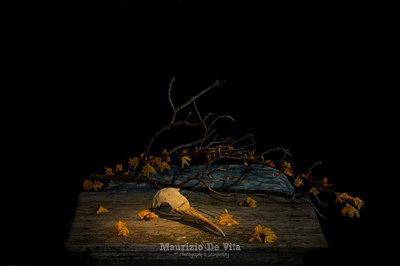 Freedom and Fall
