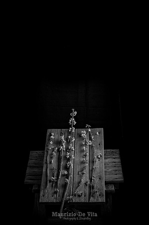 Table and Flowers