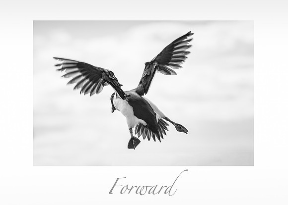 Forward
