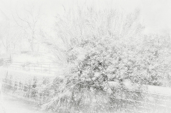 Last Winter Snow