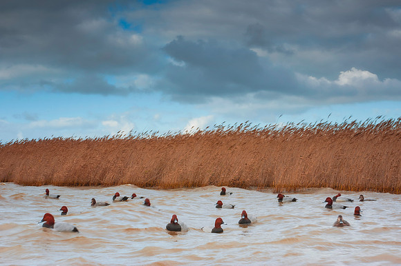 20141206-104743-December-