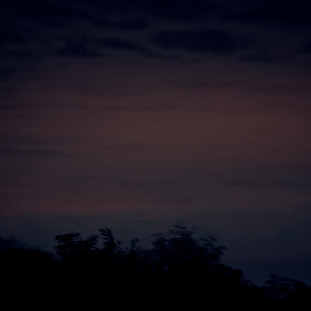 Into the Night