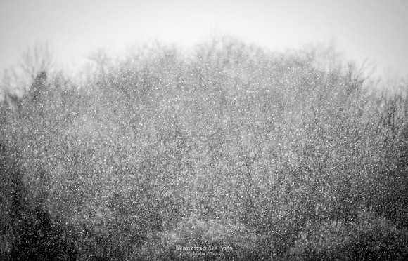 Snow