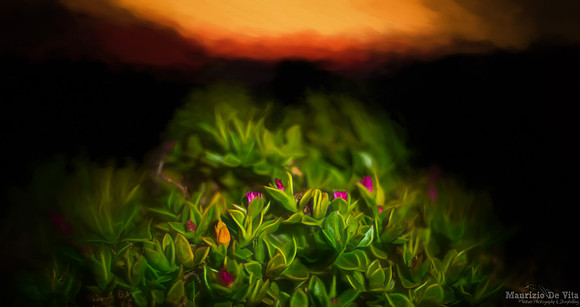 Roots and Desire