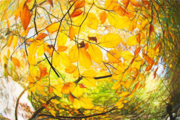 20151023-135211-October-489-Ed