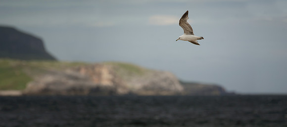 Over the Northern Coast