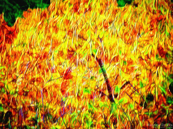 Autumn Winds