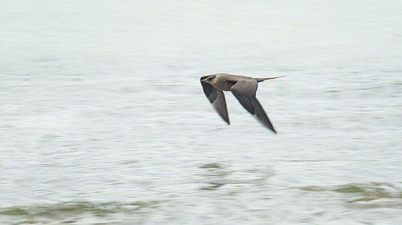 Low Pass