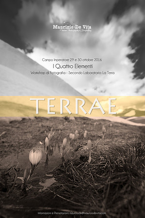 Terrae