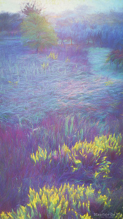 At dawn, tenderly